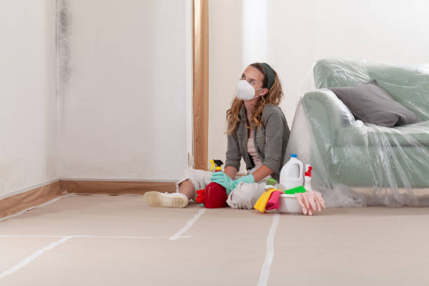 Reliable Mold Inspection contractor in Pine Brook, NJ by WQB Mold Removal